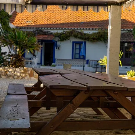 Quinta Agave *